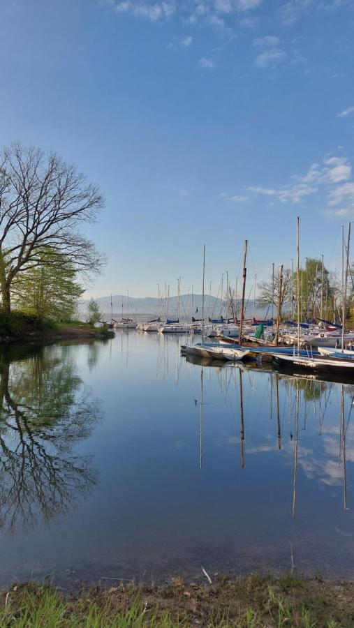 Laguna24 Jezioro Zywieckie Klimatyzowany Apartament 40 M2 扎热切 外观 照片